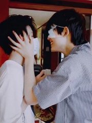 红杏四叶草网站